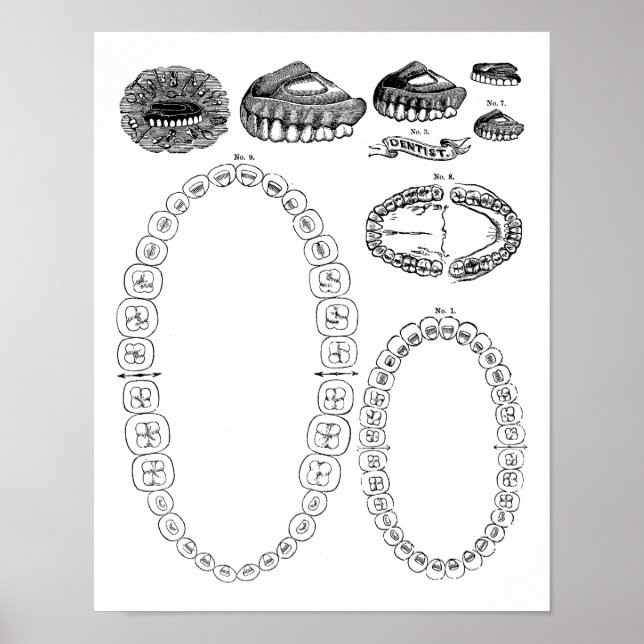 Antique Dental Tooth Chart Imprimer Poster (Devant)