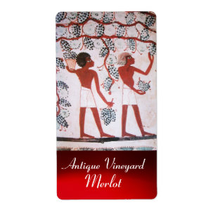 ANTIQUE EGYPTIAN VINEYARD WINE GRAPE HARVEST