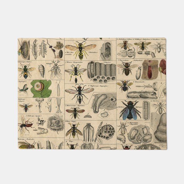 Antique Entomology Bees Wasps Natural History Doormat (Front)