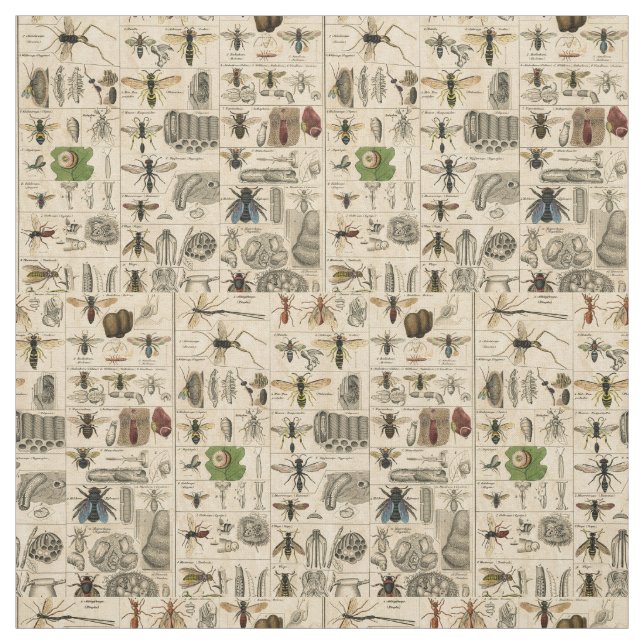 Antique Entomology Bees Wasps Natural History Fabric (Swatch)