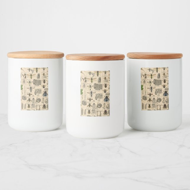 Antique Entomology Bees Wasps Natural History Food Label (Bottles)