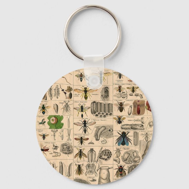 Antique Entomology Bees Wasps Natural History Keychain (Front)