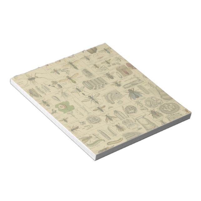 Antique Entomology Bees Wasps Natural History Notepad (Angled)