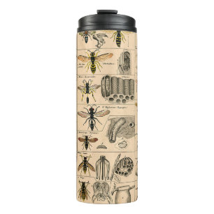 Antique Entomology Bees Wasps Natural History Thermal Tumbler
