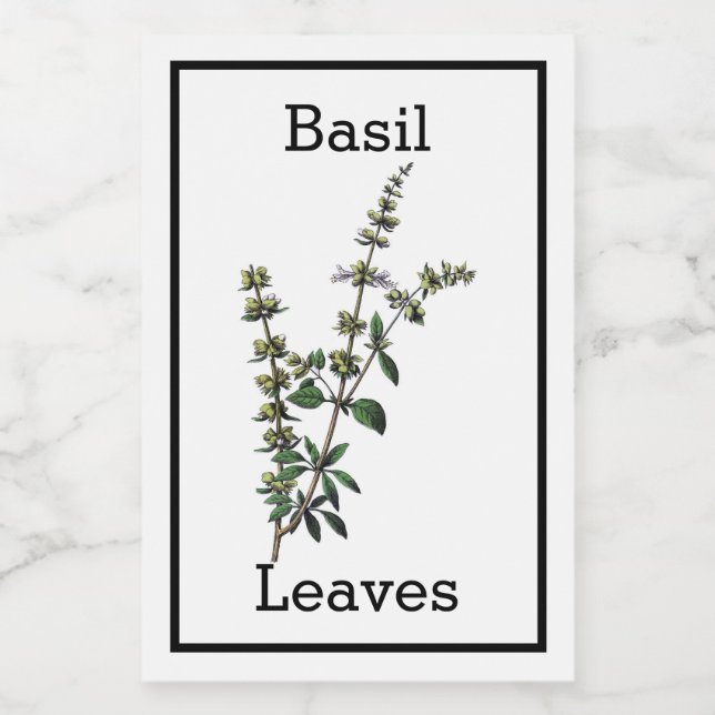Antique Étiquette Basil (Étiquettes simples)