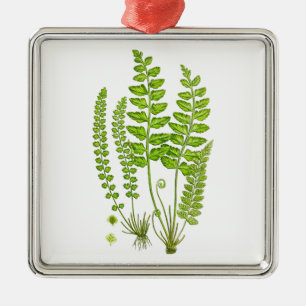 Antique Fern Print #12 Green Nature Botanical Art Metal Ornament