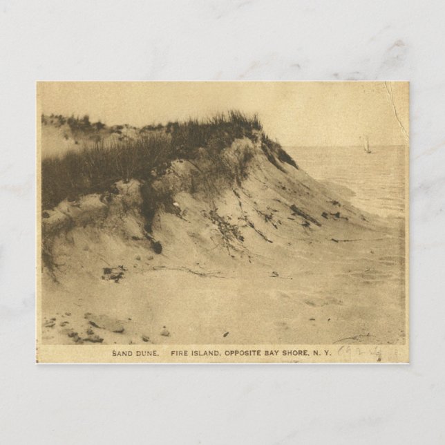 Antique Fire Island New York Postcard (Front)