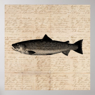 Antique Fishing Art Trout Fish Illustration Script Poster