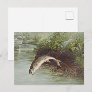 Antique Fly Fishing Leaping Brook Trout Print Postcard