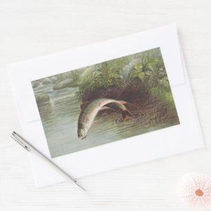 Antique Fly Fishing Leaping Brook Trout Print Sticker