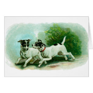 Antique Fox Terrier Illustration