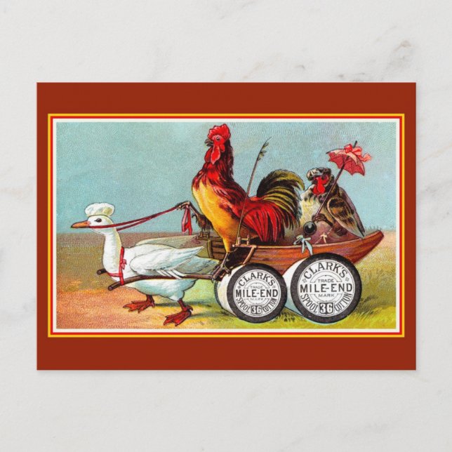 Antique funny chickens duck spool cotton postcard (Front)