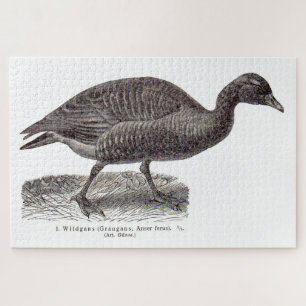 antique German avian print Wildgans wild goose Jigsaw Puzzle