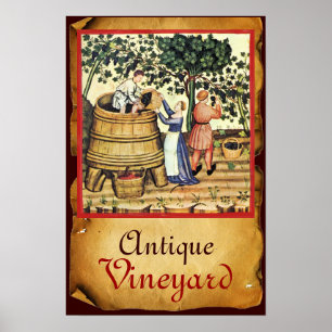 ANTIQUE GRAPE VINEYARD HARVEST PARCHMENT POSTER