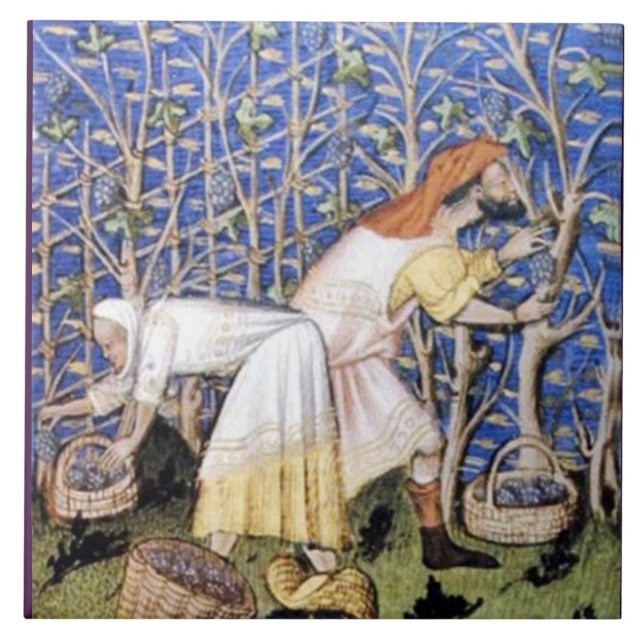 ANTIQUE GRAPE VINEYARD HARVEST TILE (Front)