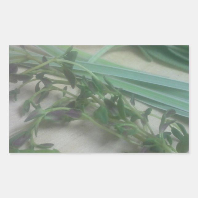 Antique Herbs Photography Sticker (Front)