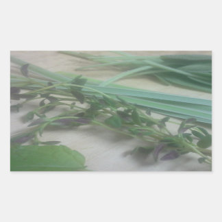 Antique Herbs Photography Sticker