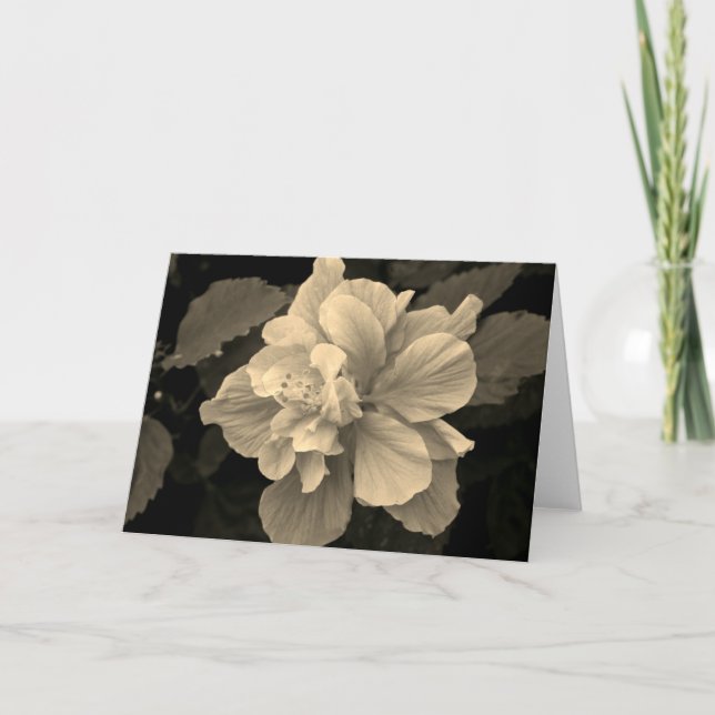 Antique Hibiscus Card (Front)