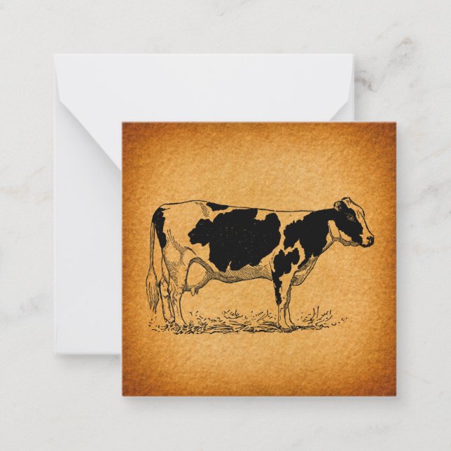 Antique Holstein Cow Farm Animal Illustration Card (Front)