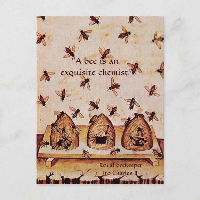 ANTIQUE HONEY BEE BEEKEEPER ,BEEKEEPING POSTCARD (Front)