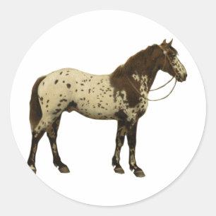 Antique Horses - Appaloosa Classic Round Sticker