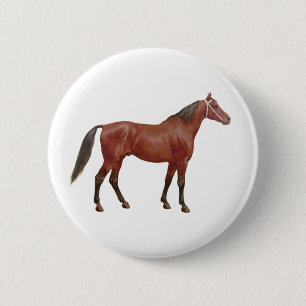 Antique Horses - Thoroughbred 2 Inch Round Button