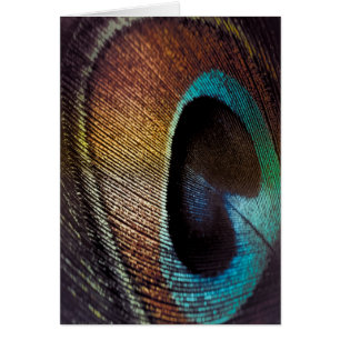 Antique Hues Peacock Feather Eye