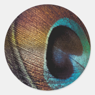 Antique Hues Peacock Feather Eye Classic Round Sticker