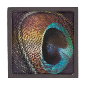 Antique Hues Peacock Feather Eye Jewelry Box