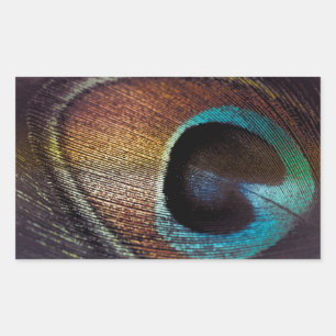 Antique Hues Peacock Feather Eye Sticker