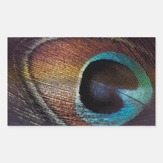 Antique Hues Peacock Feather Eye Sticker (Front)