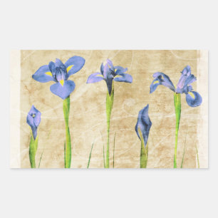 Antique Irises - Vintage Iris Background Customize Sticker