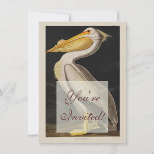 Antique John James Audubon White Pelican Coastal Invitation