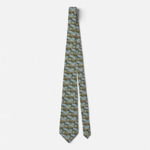 Antique Map Aerial View City of Seattle Washington Tie