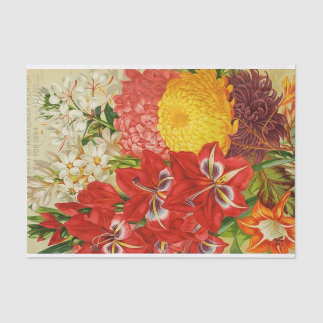 Antique May Flowers of 1894 Catalogue Tissue Paper (Front)