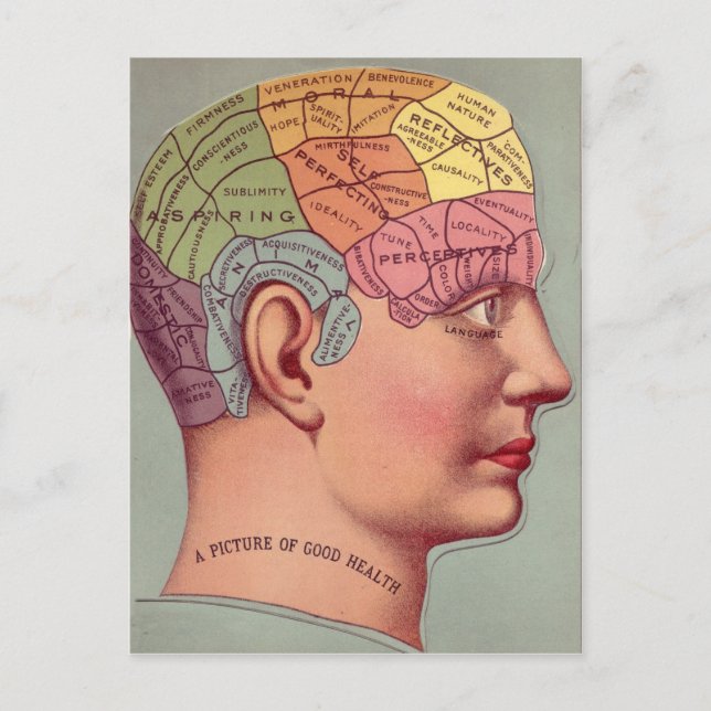 antique Mind Brain Map Phrenology head Postcard (Front)