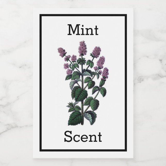 Antique Mint Label (Single Label)