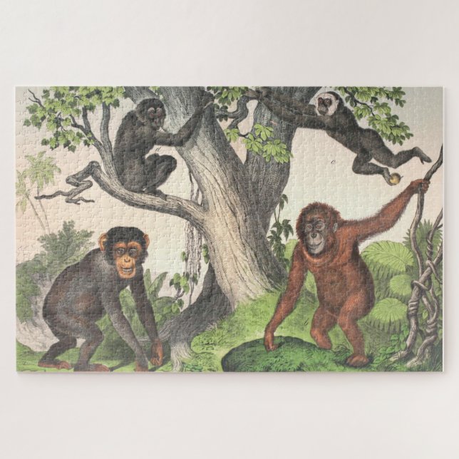 Antique Monkeys Print Jigsaw Puzzle (Horizontal)