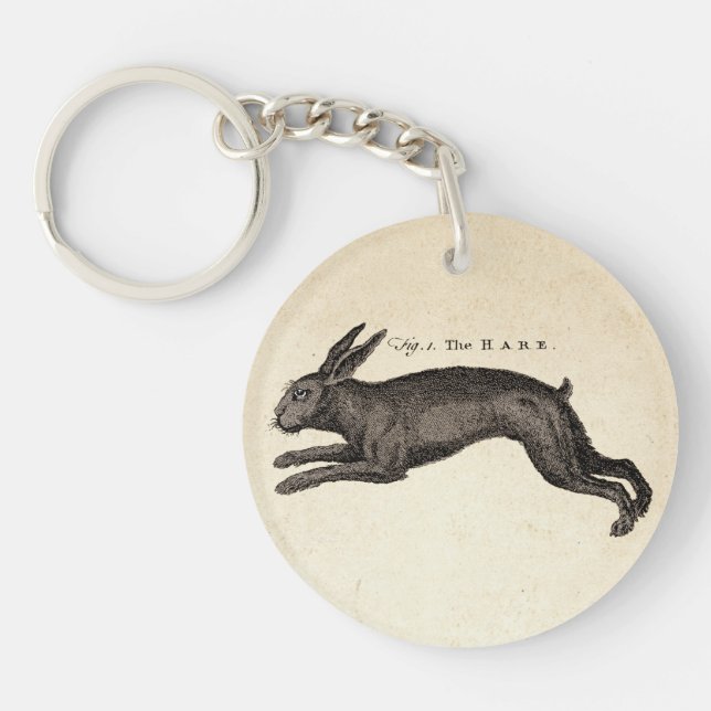 Antique Natural History Art The Hare Keychain (Front)