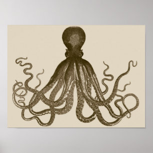 Antique Octopus Poster