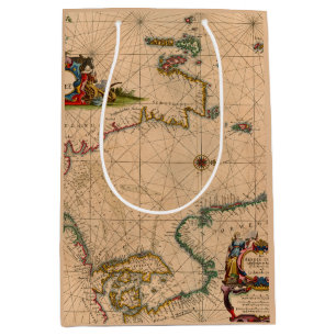 Antique Old Map Inspired (1) Medium Gift Bag