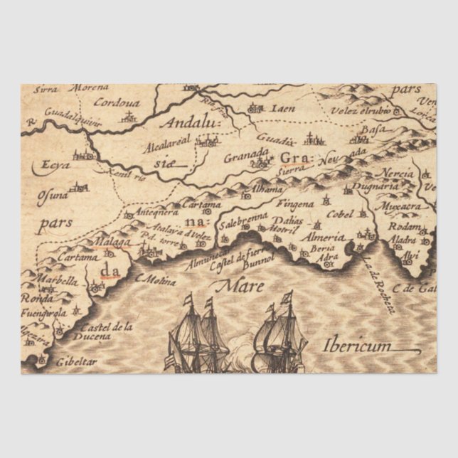 Antique Old Map Inspired (3) Tissue Paper (Front)