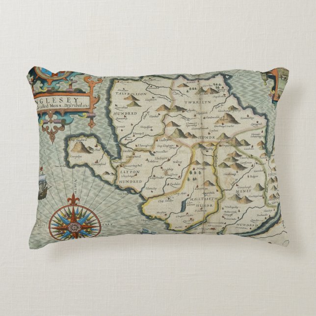 Antique Old Map Inspired (7) Accent Pillow (Front)