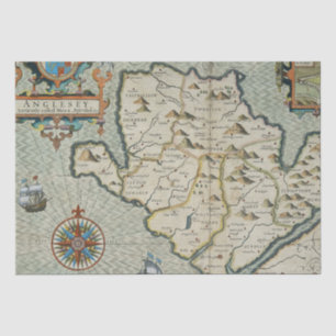 Antique Old Map Inspired (7) Tissue Paper