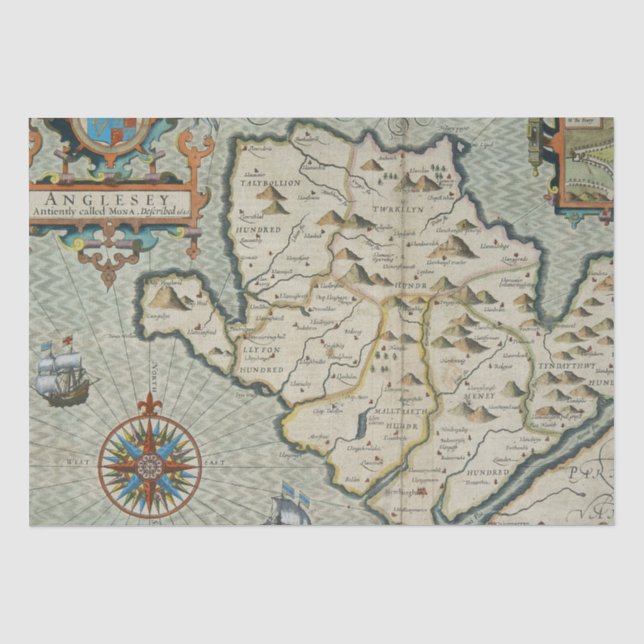 Antique Old Map Inspired (7) Tissue Paper (Front)
