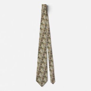 Antique Old World Map of the Americas, 1597 Tie