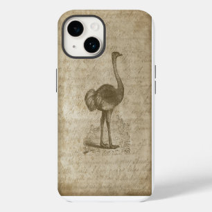 Antique  Ostrich Script Grunge Paper iPhone 14 Case