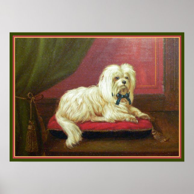 Antique Painting - Pampered Maltese on a Pillow Poster (Front)