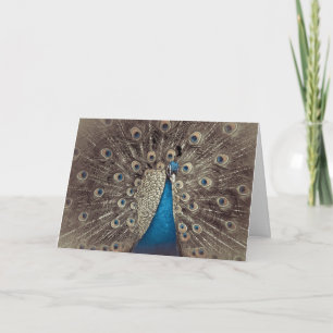 Antique Peacock Bleu Carte de voeux pliée