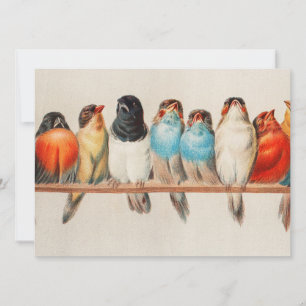 Antique Perch of Birds Hector Giacomelli Invitation